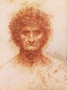 LEONARDO da Vinci Buste one frontal to seeing man and head of a Lowen painting